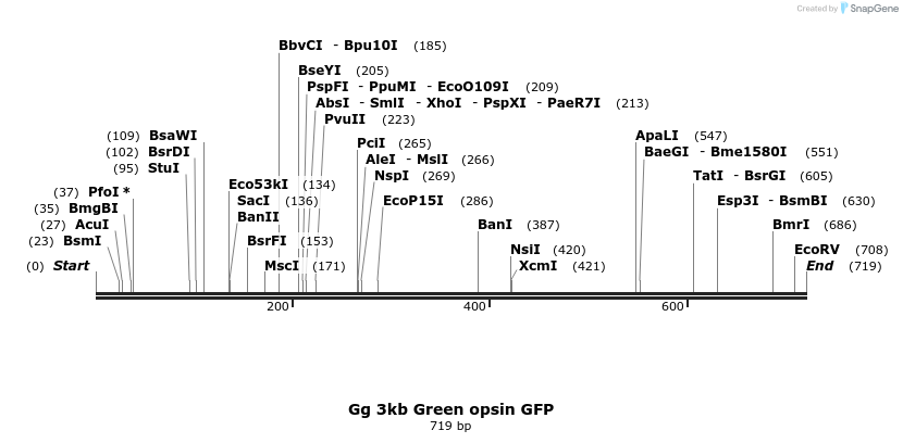 135967_map