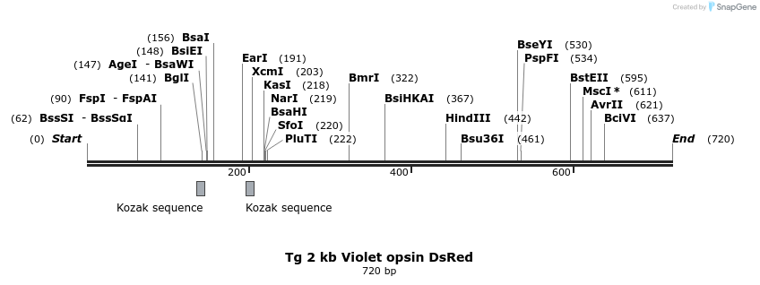 135968_map