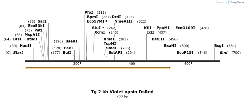 135969_map