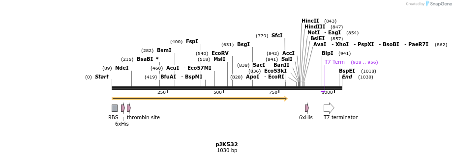 135975_map