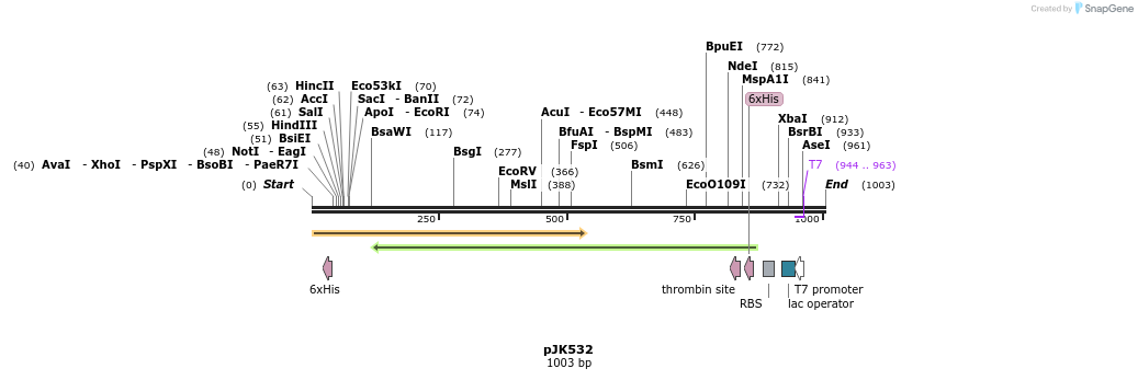 135976_map