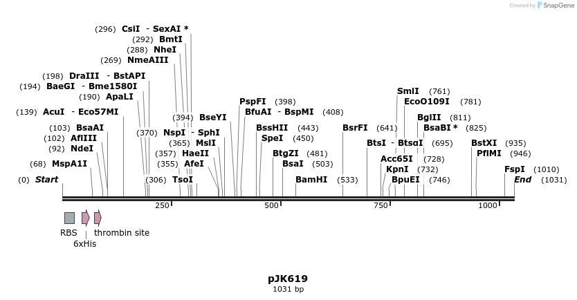 135979_map