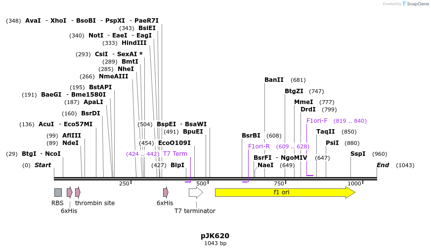 135982_map