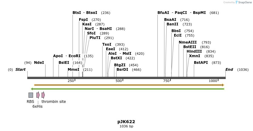 135984_map