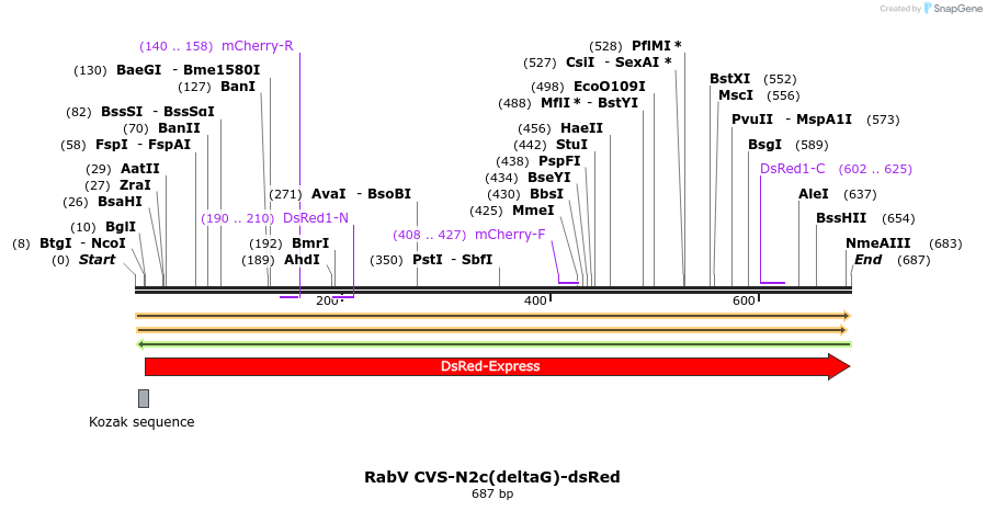 135989_map