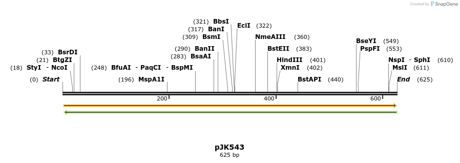 135990_map