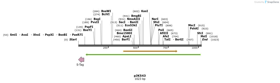 135991_map