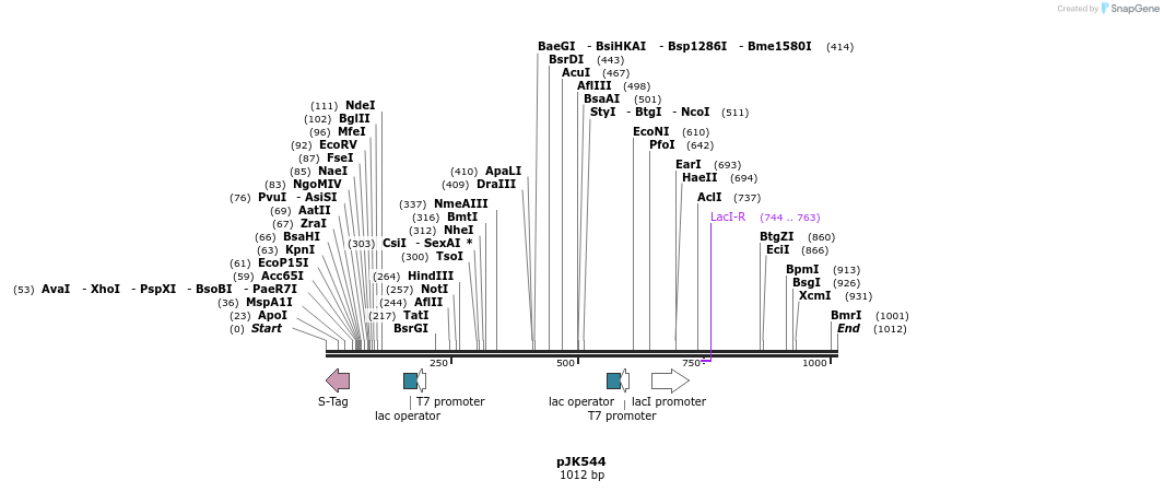 135993_map
