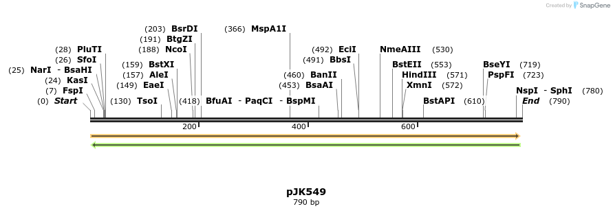 135995_map