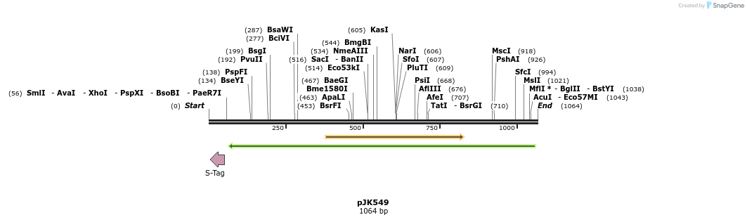135996_map