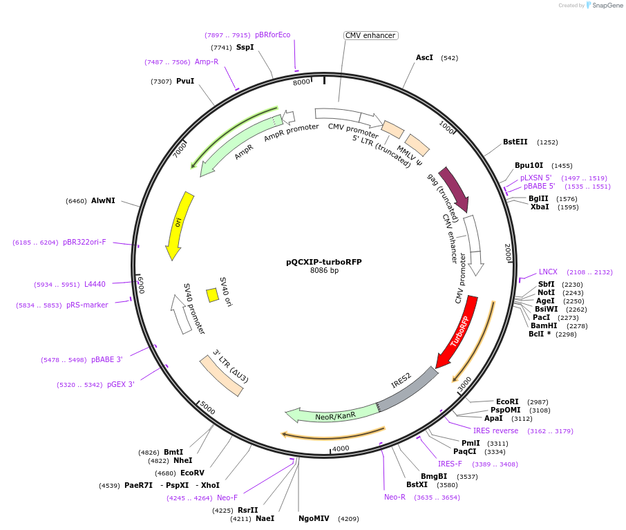 135997_map
