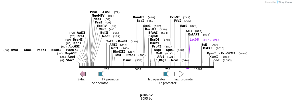 135999_map