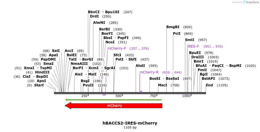 136003_map