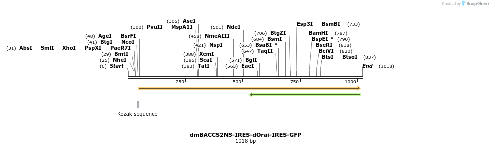 136010_map