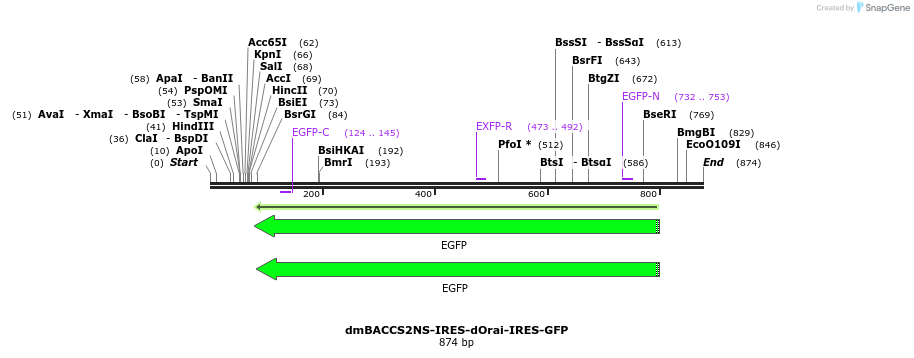 136011_map