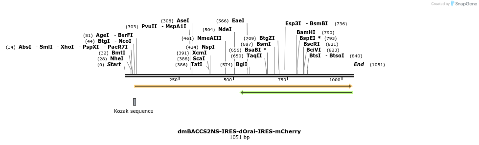 136012_map