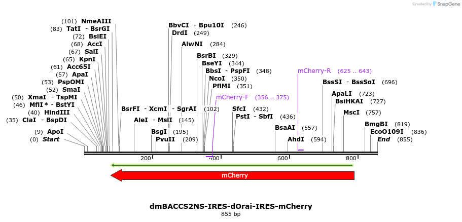 136013_map