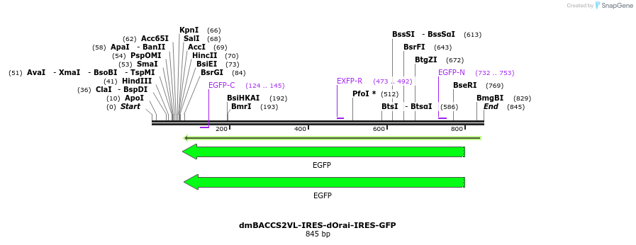 136015_map