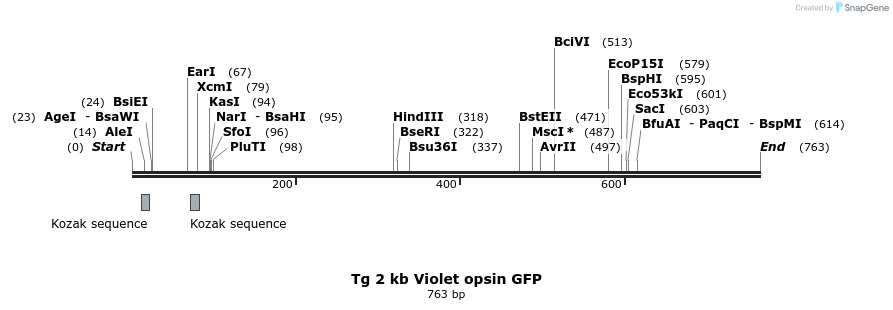 136019_map