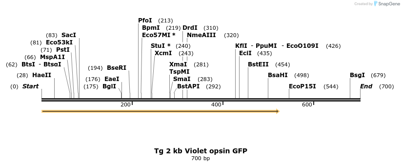 136020_map