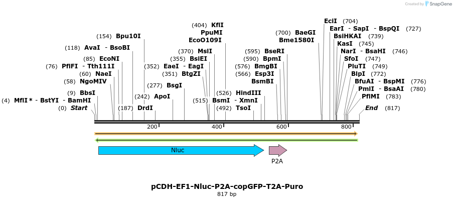 136023_map