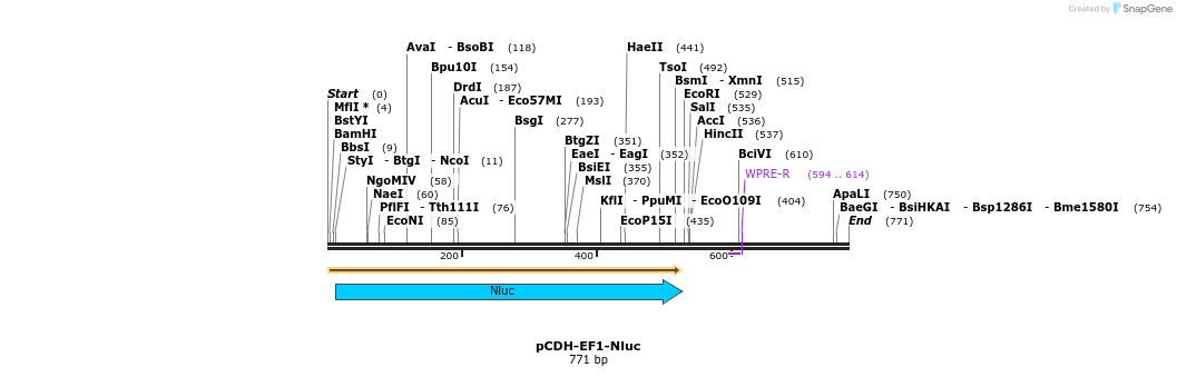 136025_map