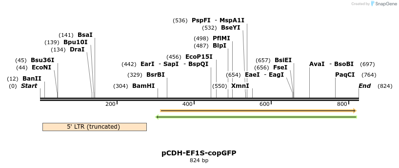 136032_map