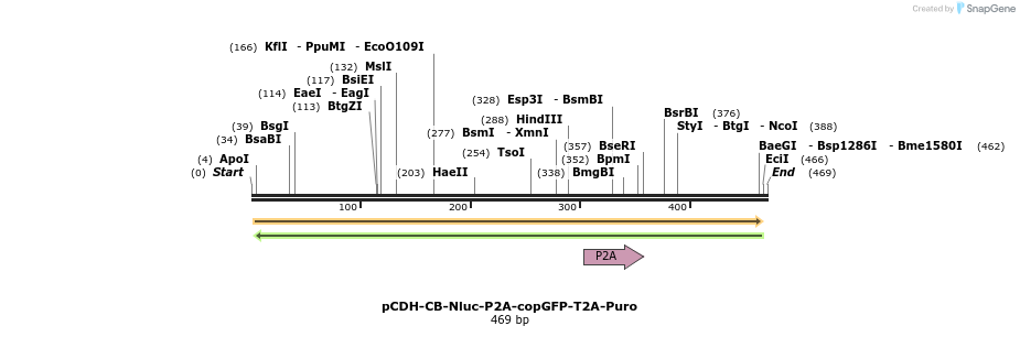 136040_map