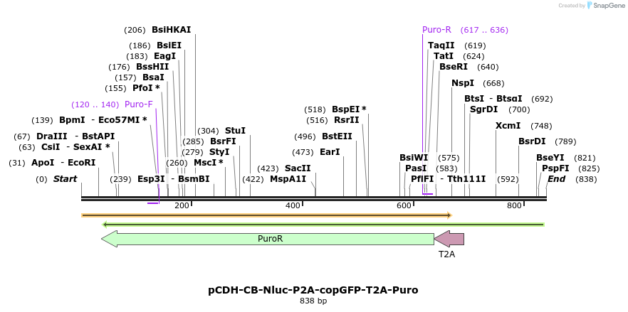 136041_map