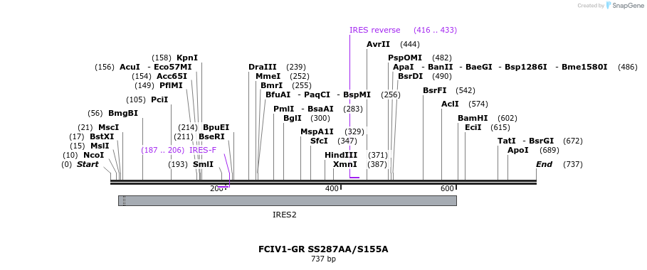 136051_map