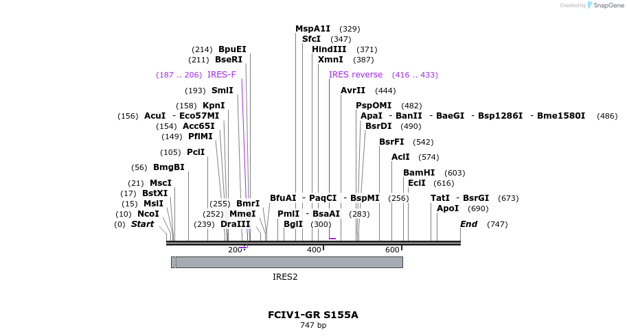 136055_map