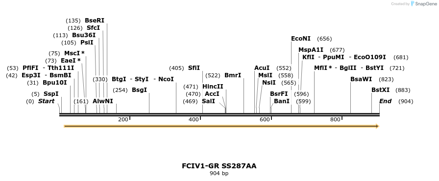 136056_map