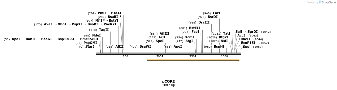 136058_map