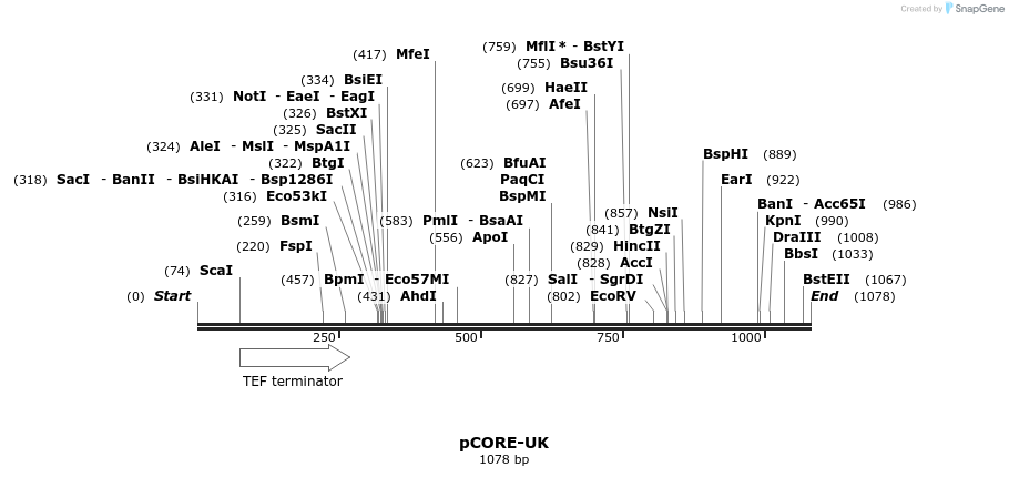 136064_map