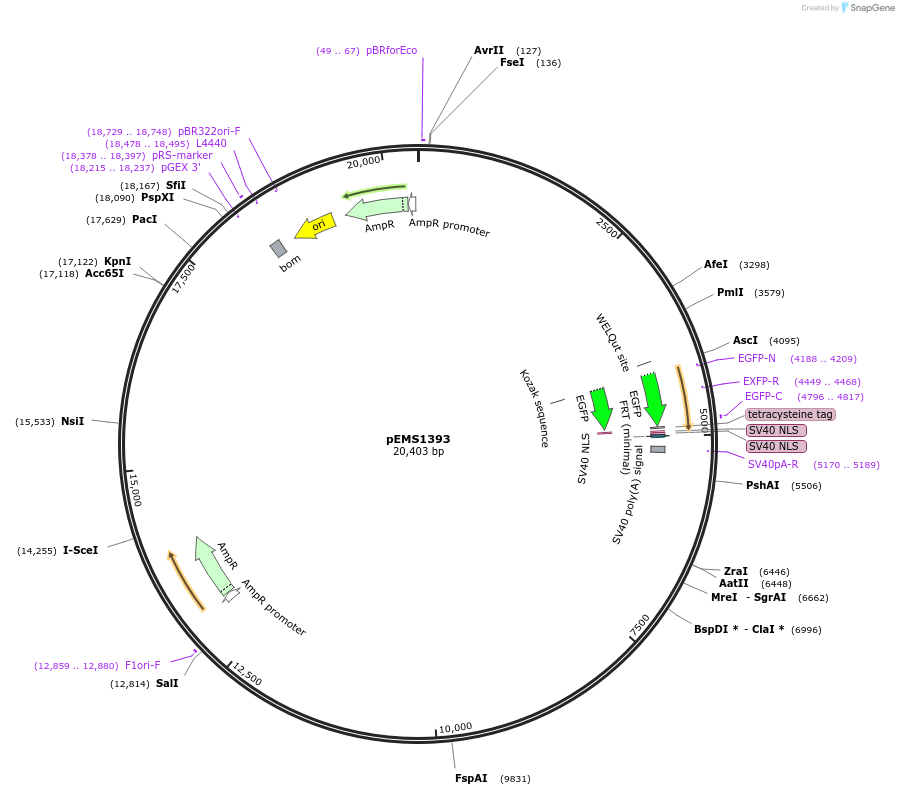 13607_map