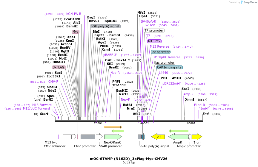 136070_map