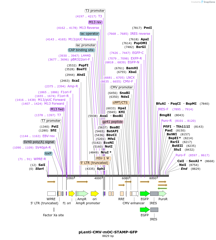 136073_map