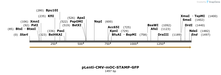 136074_map
