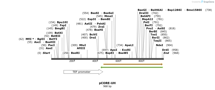 136075_map