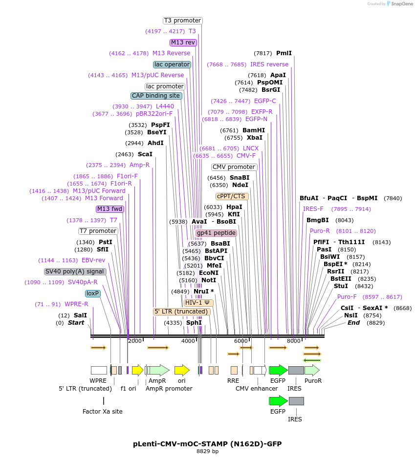 136077_map