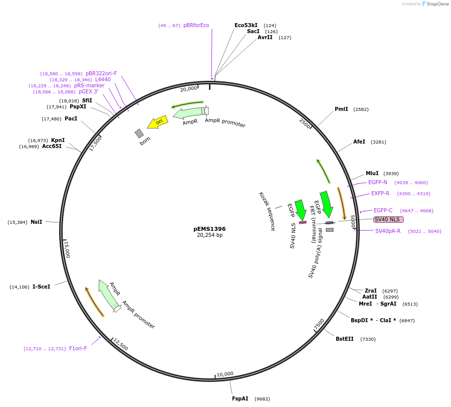 13609_map