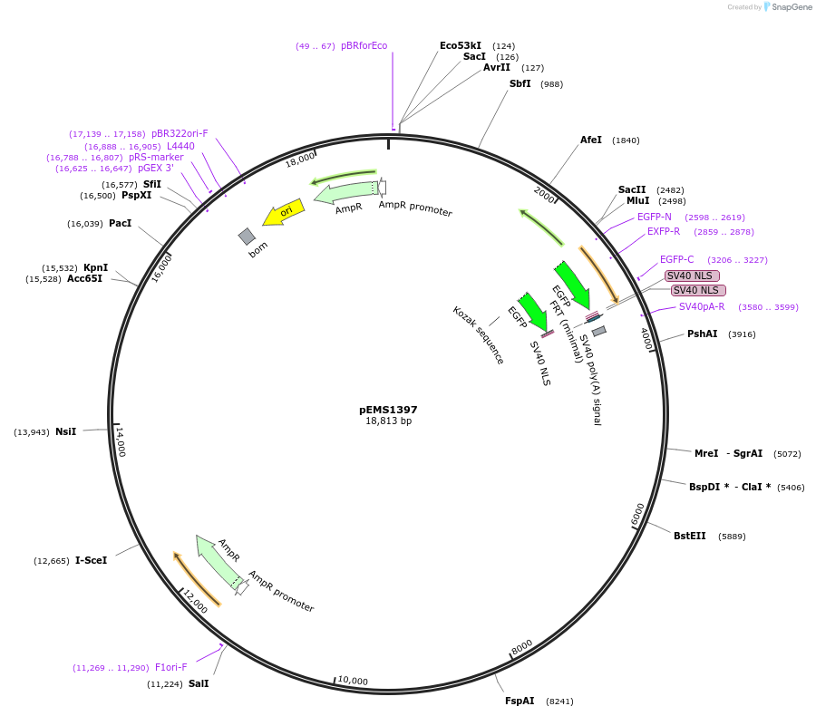 13610_map