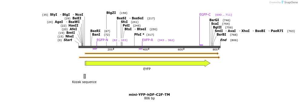 136102_map