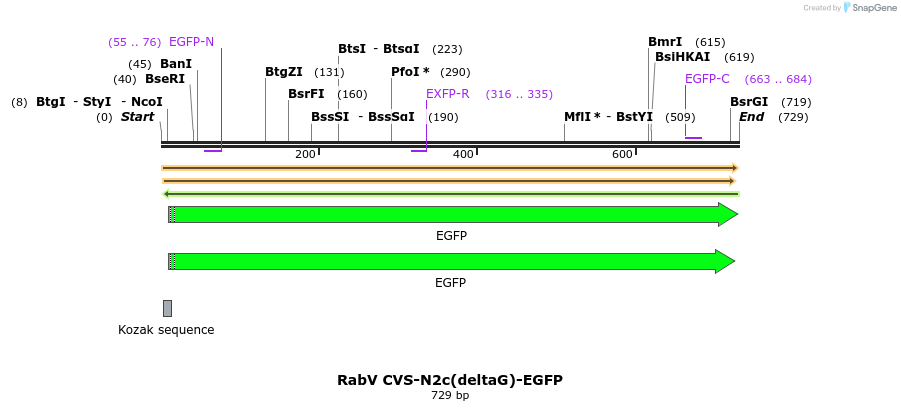 136103_map