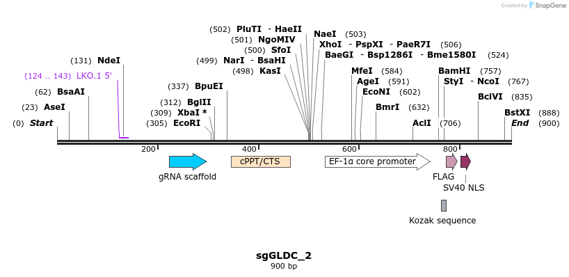 136106_map