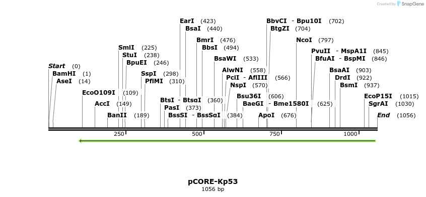 136107_map