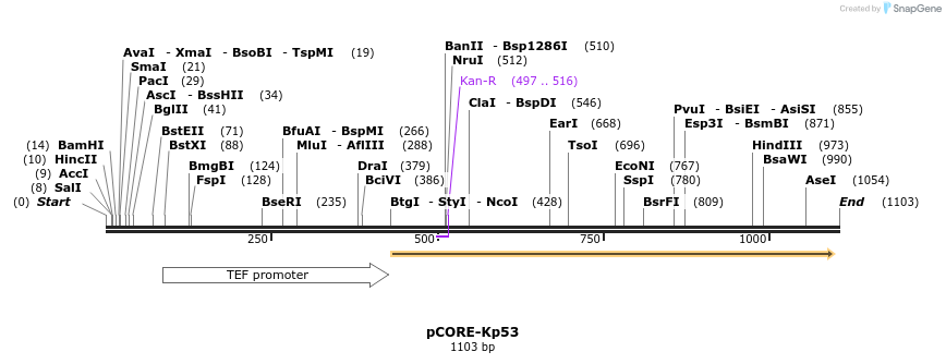 136108_map