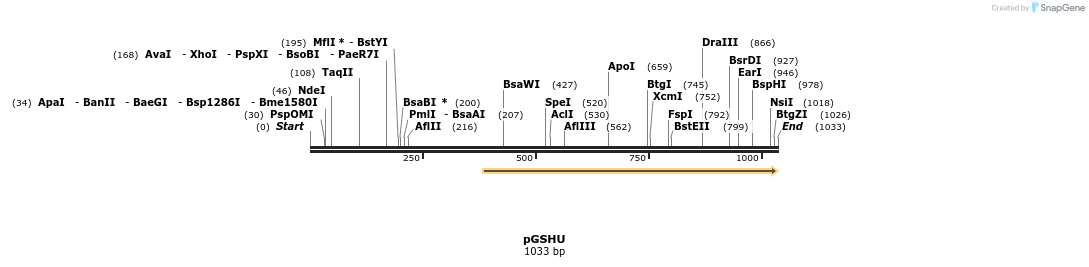 136116_map