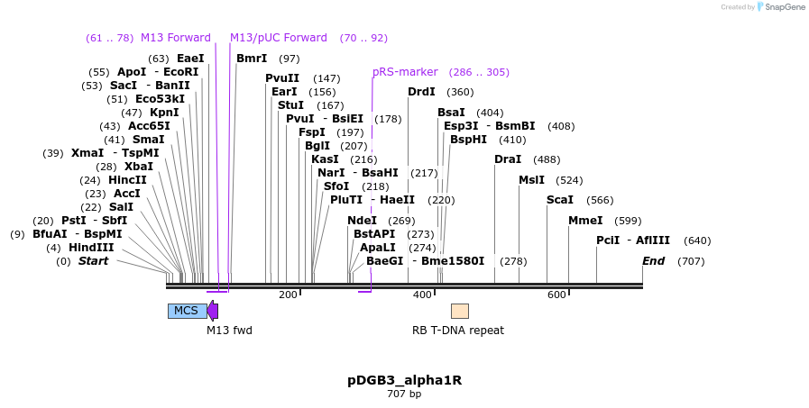 136124_map