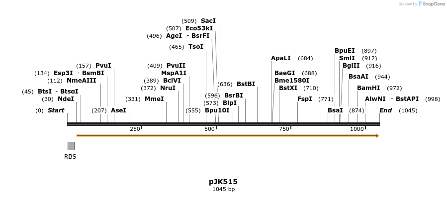 136125_map